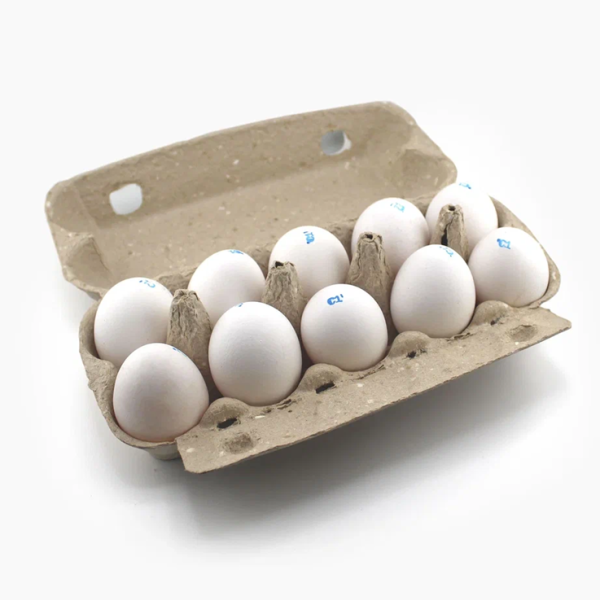 Яйцо ДЕСЯТОК столовое 1 кат. 10шт контейнер